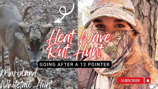 Heat Wave Hunting a 13 Pointer  Whitetail Deer Hunt in Maryland [upl. by Luhe]