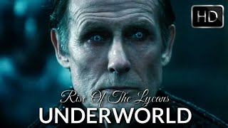 UNDERWORLD RISE OF THE LYCANS 2009 BEST MOVIE SCENELUCIAN FULL HD [upl. by Alleinad]