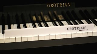 Grotrian  Piano Technicians Guild Annual Convention  2014 [upl. by Creamer]