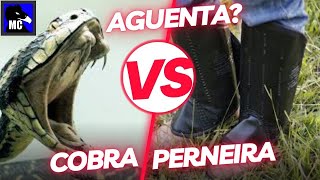 Cuidado PERNEIRA não segura picada de SERPENTE em Testes com Luva Bota Botina e cobras [upl. by Eanyl]