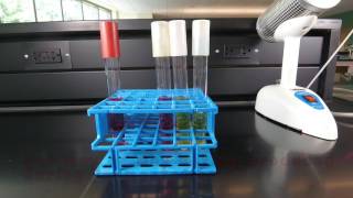 Fermentation of Carbohydrates [upl. by Oel]