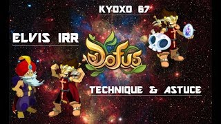 ELVIS IRR DOFUS QUETE NEBULEUX [upl. by Bettzel]