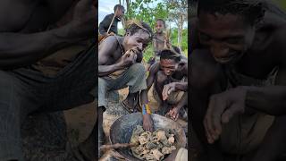 its incredible Cookies Meals🤤See Hadza enjoy breakfast food 😋So delicious culture bushmen [upl. by Nnaer870]