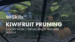 Kiwifruit Winter Pruning  Virtual Reality Training  SkillsVR [upl. by Erminna826]