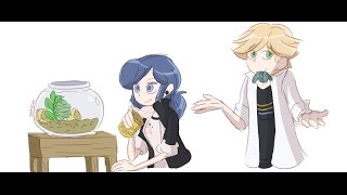 Miraculous Ladybug Comic Dub Missing Fish [upl. by Iveksarap]