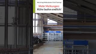 Bei Joachim laufen die Kühe endlich besser zum Melkroboter delaval melkroboter kühe [upl. by Mellins]