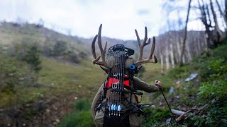 195 Utah High Country Mule Deer  The Story of quotTRONquot [upl. by Anauq]