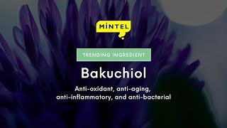 Mintel Trending Ingredient Bakuchiol EN [upl. by Marduk]