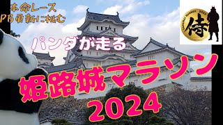 【姫路城マラソン2024】今シーズンの本命レースにパンダが出走。フラットの高速コースでＰＢ更新なったでしょうか。 [upl. by Haimirej804]