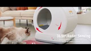 MeoWant SelfCleaning Cat Litter Box 2024 [upl. by Ramas]