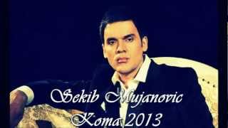 SEKIB MUJANOVIC  KOMA 2013 NOVO [upl. by Siurtemed]