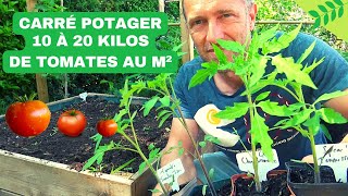 CARRÉ POTAGER ► RÉUSSIR SES TOMATES Planter nourrir sol paillage ombrage arrosage variétés [upl. by Richlad]