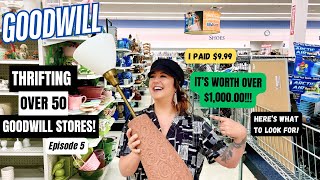 MY BEST FIND YET THRIFTING OVER 50 GOODWILL THRIFT STORES Thrift With Me Episode 5 [upl. by Eadas]