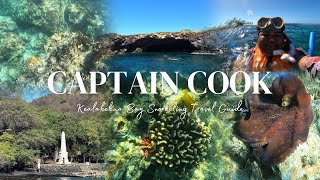 Captain Cook Kealakekua Bay Snorkeling Boat Tour Big Island Hawaii travelvlog travelguide reef [upl. by Yuhas402]