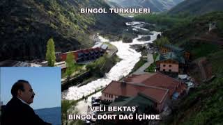 BİNGÖL TÜRKÜLERİ BİNGÖL DÖRT DAĞ İÇİNDE VELİ BEKTAŞ [upl. by Milinda]