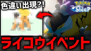 遂に始まったライコウイベント詳細が神過ぎる【ポケモンスリープ】 [upl. by Anialahs200]