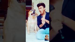 dog comedy doglover funny calendar labrador tumharesivakuchnachahatkarenge [upl. by Isoais]