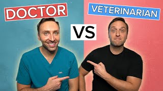 PHYSICIAN vs VETERINARIAN NEUROSURGEON [upl. by Rehpotsyrhc]