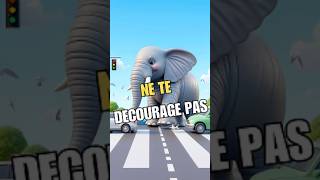 La valeur de la patience  Lhistoire de léléphant et du chien motivation leçonsdevie [upl. by Anavahs197]