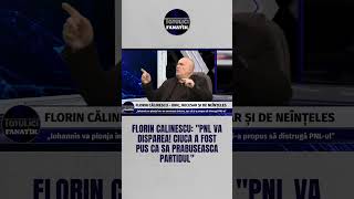 Florin Calinescu quotPNL va disparea Ciuca a fost pus ca sa prabuseasca partidulquot [upl. by Lorola]