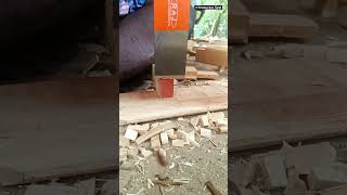 slow motion vertical cutting wood cutting slice [upl. by Carmen]