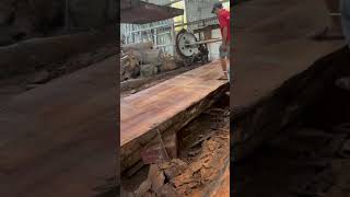 giant rosewood tree shortvideo wood woodworking chauphammedia woodworkingart woodwork [upl. by Neetsuj]