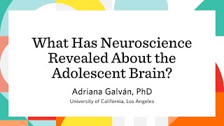 What Has Neuroscience Revealed About the Adolescent Brain [upl. by Anahahs]