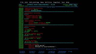 COBOL  Program Structure [upl. by Ahsiken]