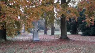 Berlin Volkspark Rehberge Wedding alter Friedhof am Donagestell [upl. by Einaffyt777]