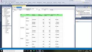 Tutorial de SQL SERVER REPORTING SERVICES SSRS Parte 6 Agrupamientos Colapsos [upl. by Harbour]