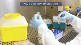 VIASURE Real Time PCR Detection Kits Extracción de ácidos nucléicos amp Protocolo de Iniciación [upl. by Ymrej]