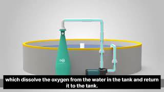 OXUS Oxygen Supply System for Aquaculture [upl. by Elletnohs869]