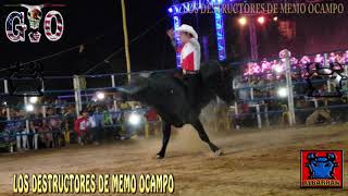 POTENCIA NUCLEAR CON GALLITO DEL HIGUERON EN EL KM 42 ACAPULCO GUERRERO 2019 [upl. by Auhel]