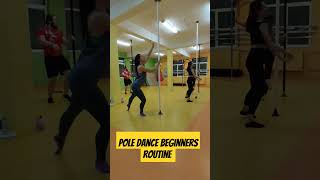 pole dance beginners routine 🎵 soha [upl. by Ttemme]