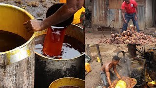 Harvest palm oil using a very sharp knife [upl. by Heidie]