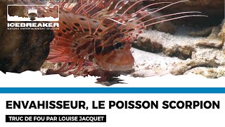 Truc de fou 102  le poissonscorpion par Louise Jacquet [upl. by Pytlik]