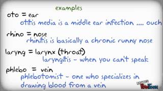 Medical Terminology the easy way [upl. by Fihsak168]