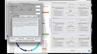 Subcloning using Serial Cloner [upl. by Singer910]