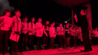 Concert des quotRestos du coeurquot CHORALE Robert AYMARD LE MUY [upl. by Yreva]