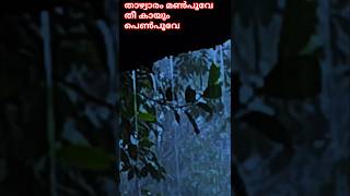 താഴ്വാരം മൺപൂവേ തീ കായും പെൺപൂവേ   yes udaschithara  Music lover [upl. by Josh]