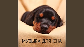 Музыка перед сном музыка для релаксации и [upl. by Wilhelmine828]