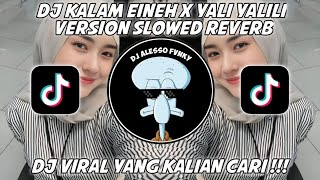 DJ KALAM EINEH YALI YALILI TIKTOK VERSION SLOWED REVERB VIRAL TIK TOK TERBARU 2024 [upl. by Enamart]