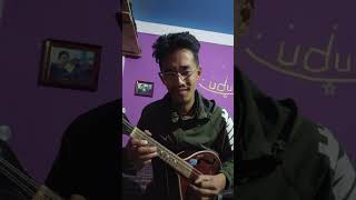 Swaar Lo  Mandolin ❤️ shorts guitarmusic guitarshorts guitarperformance mandolin [upl. by Lahcim322]