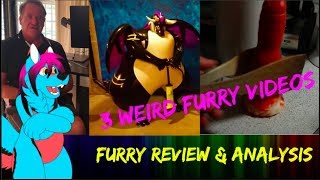 3 WEIRD FURRY VIDEOS  Furry ReviewAnalysis [upl. by Ermey146]