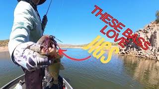 JIGS and SPINNERBAITS at Bartlett Lake [upl. by Amor836]