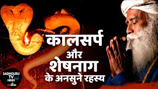 कालसर्प और शेषनाग का रहस्य  Mystry of Mystical Snakes  Kaalsarp  Sheshnaag  Sadhguru Tv Hindi [upl. by Ayekim]