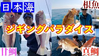 日本海はやっぱりジギングパラダイスだった [upl. by Elboa29]