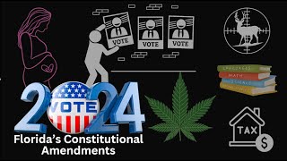 Florida Constitutional Amendments Explained [upl. by Aniwde]