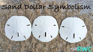 Sand Dollar Symbolism [upl. by Carlota]