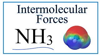 Intermolecular Forces for NH3 Ammonia [upl. by Oba]